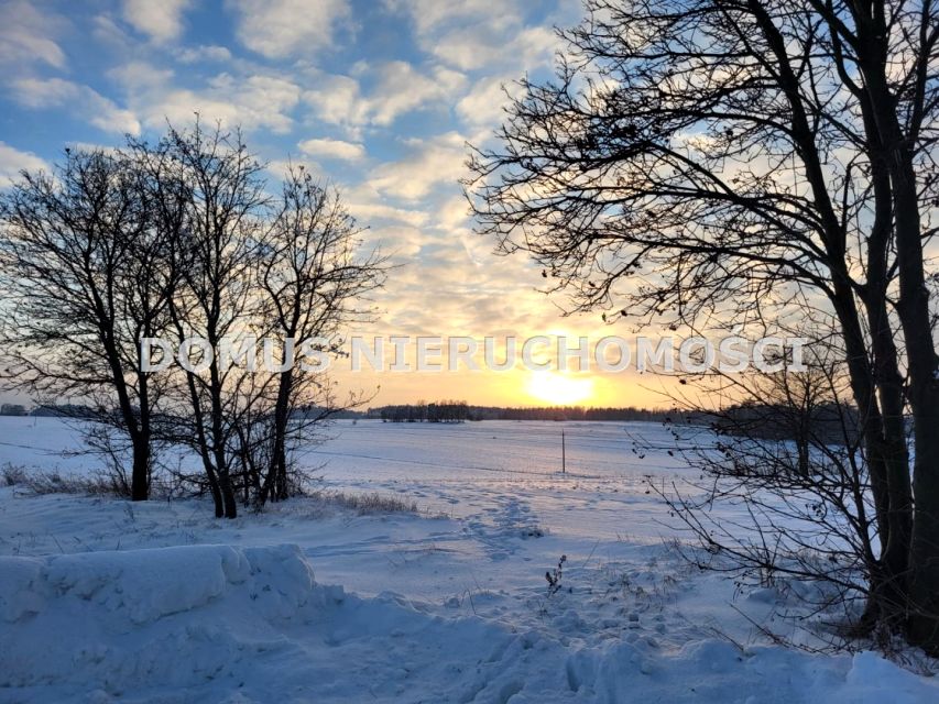 Działka budowlana Rogów