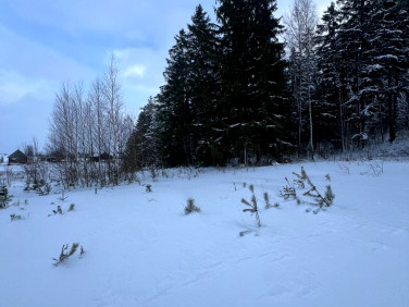 Pusta działka Brzóza