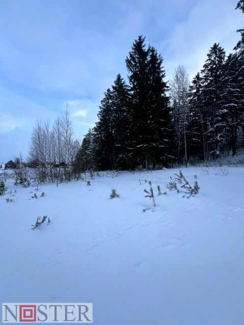 Pusta działka Brzóza