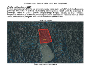 Działka leśna Budzów