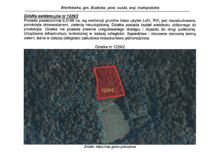 Działka leśna Budzów