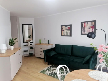 Mieszkanie Gorzów Wielkopolski