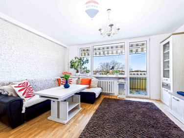 Mieszkanie Zielona Góra