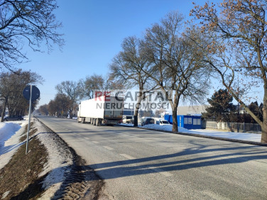 Działka usługowa Płochocin