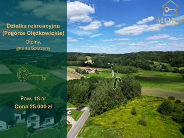 Działka rolna Ołpiny