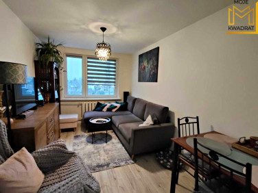 Mieszkanie BEŁCHATÓW