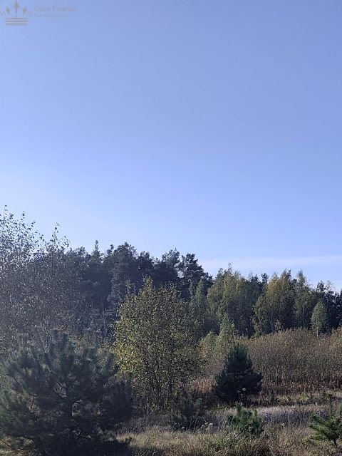 Zdjęcie 2