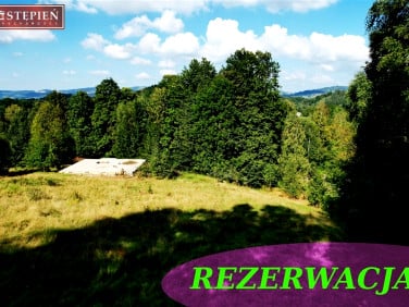 Działka usługowa Trzcińsko sprzedam