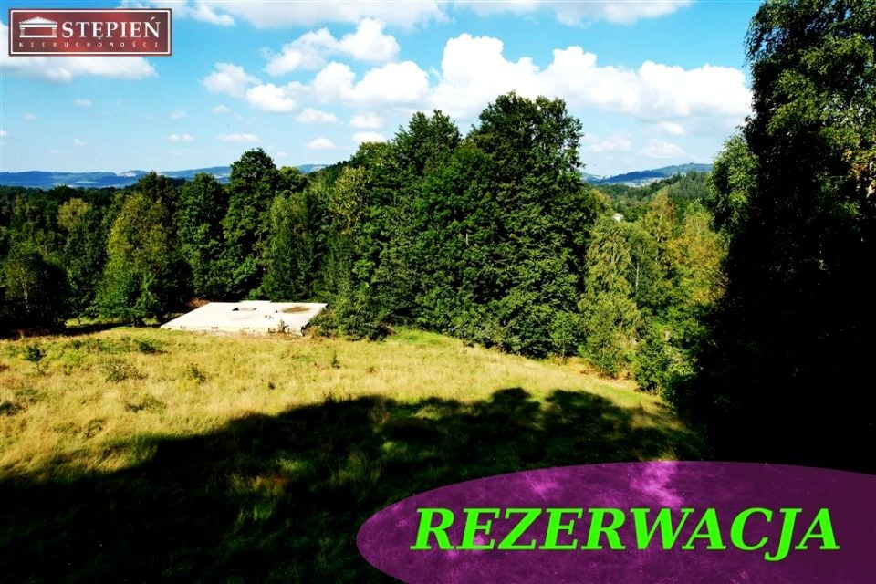 Działka usługowa Trzcińsko sprzedam