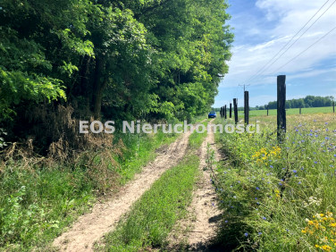 Pusta działka Piszczac