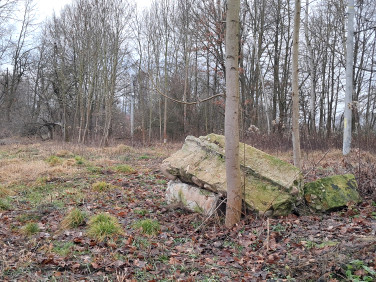 Działka siedliskowa Przewrotne