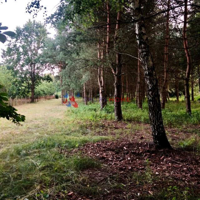 Działka budowlana Mieszkowo