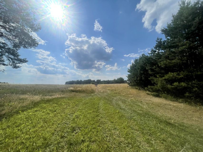 Działka budowlana Kobyla Góra