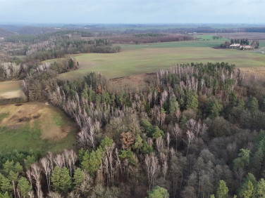 Działka rolna Dąbrówka Królewska