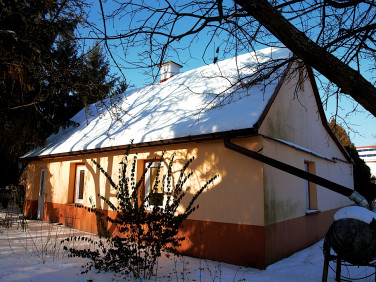 Dom Sandomierz sprzedaż