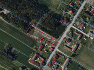 Działka siedliskowa Borowa