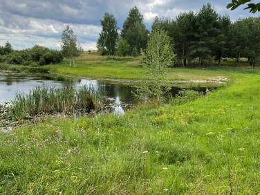 Działka rolna Grzegrzółki