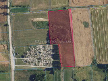 Działka siedliskowa Franknowo