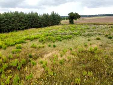 Działka budowlana Kicin