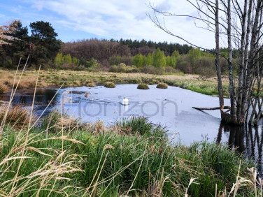 Działka budowlano-rolna Siemyśl