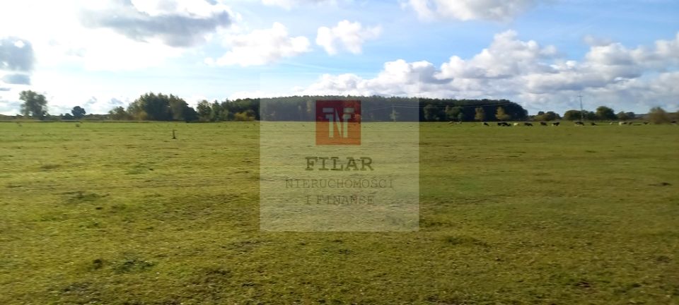 Działka Borzysławiec