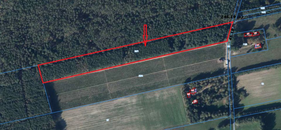 Działka siedliskowa Lwówek