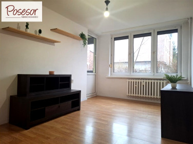 Mieszkanie Rybnik wynajem