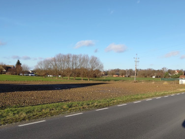 Działka Ceradz Kościelny