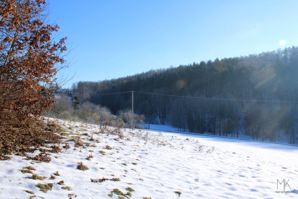 Działka przy lesie
