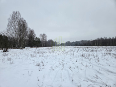 Działka rolna Stare Budy Radziejowskie