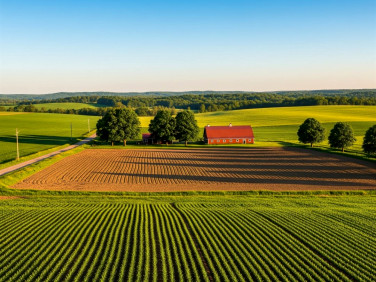 Działka rolna Piotrówka