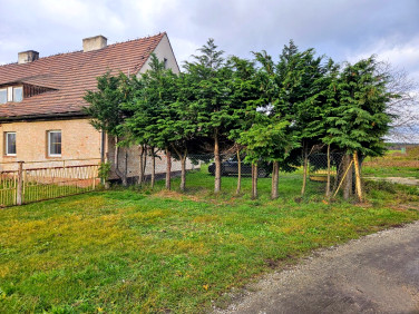 Mieszkanie Brzezina Sułowska