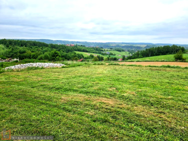 Działka rekreacyjna Kozierów