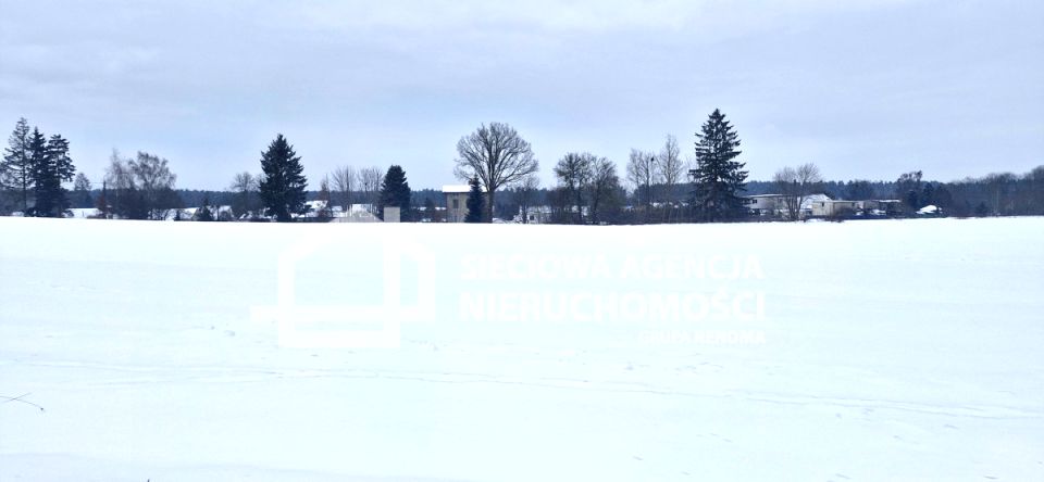 Działka przemysłowa Wielki Klincz