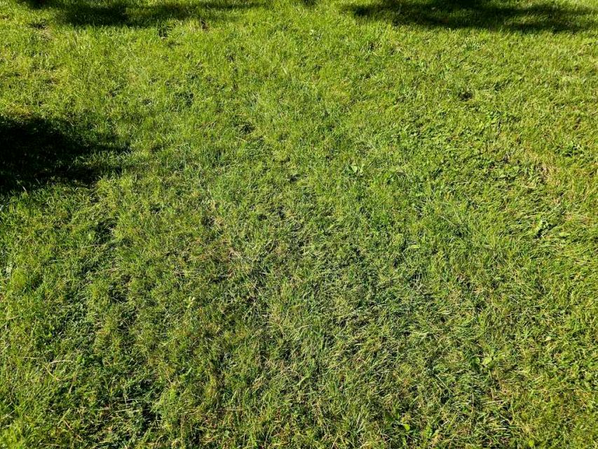 Działka Władysławów