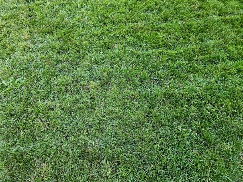 Działka Władysławów