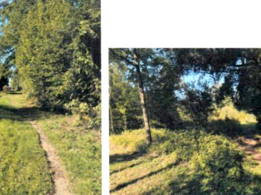 Działka budowlana Budy-Grzybek sprzedam