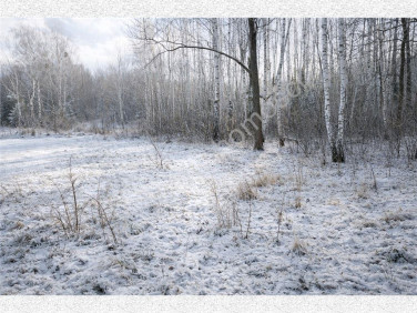 Działka budowlana Owczarnia