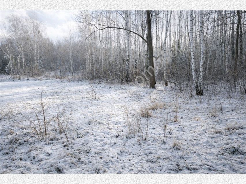 Działka budowlana Owczarnia