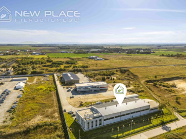 Lokal Błonie wynajem