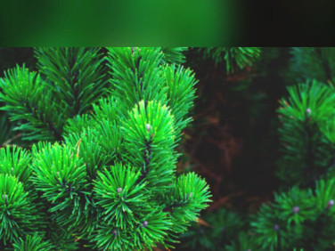 Działka budowlana Nadarzyn sprzedam