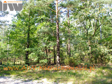 Działka budowlana Izabelin B