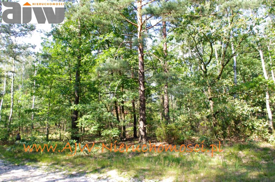 Działka budowlana Izabelin B