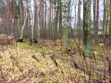 Działka budowlana Grudziądz