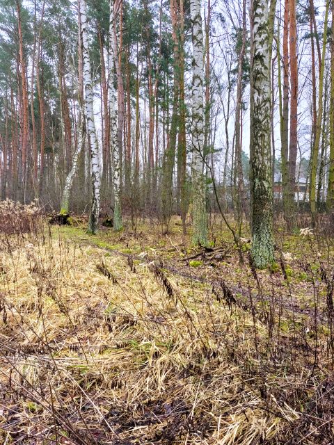Działka budowlana Grudziądz