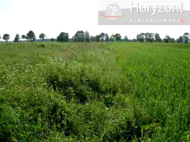 Działka rolna Rurzyca