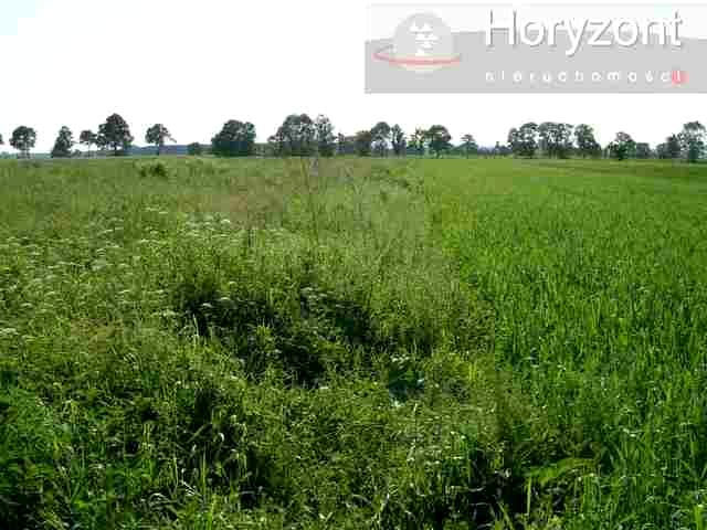 Działka rolna Rurzyca