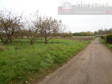 Działka rolna Stobno