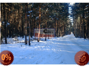 Działka leśna Tartak