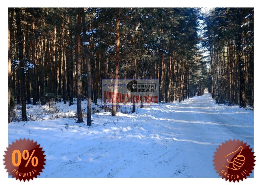 Działka leśna Tartak